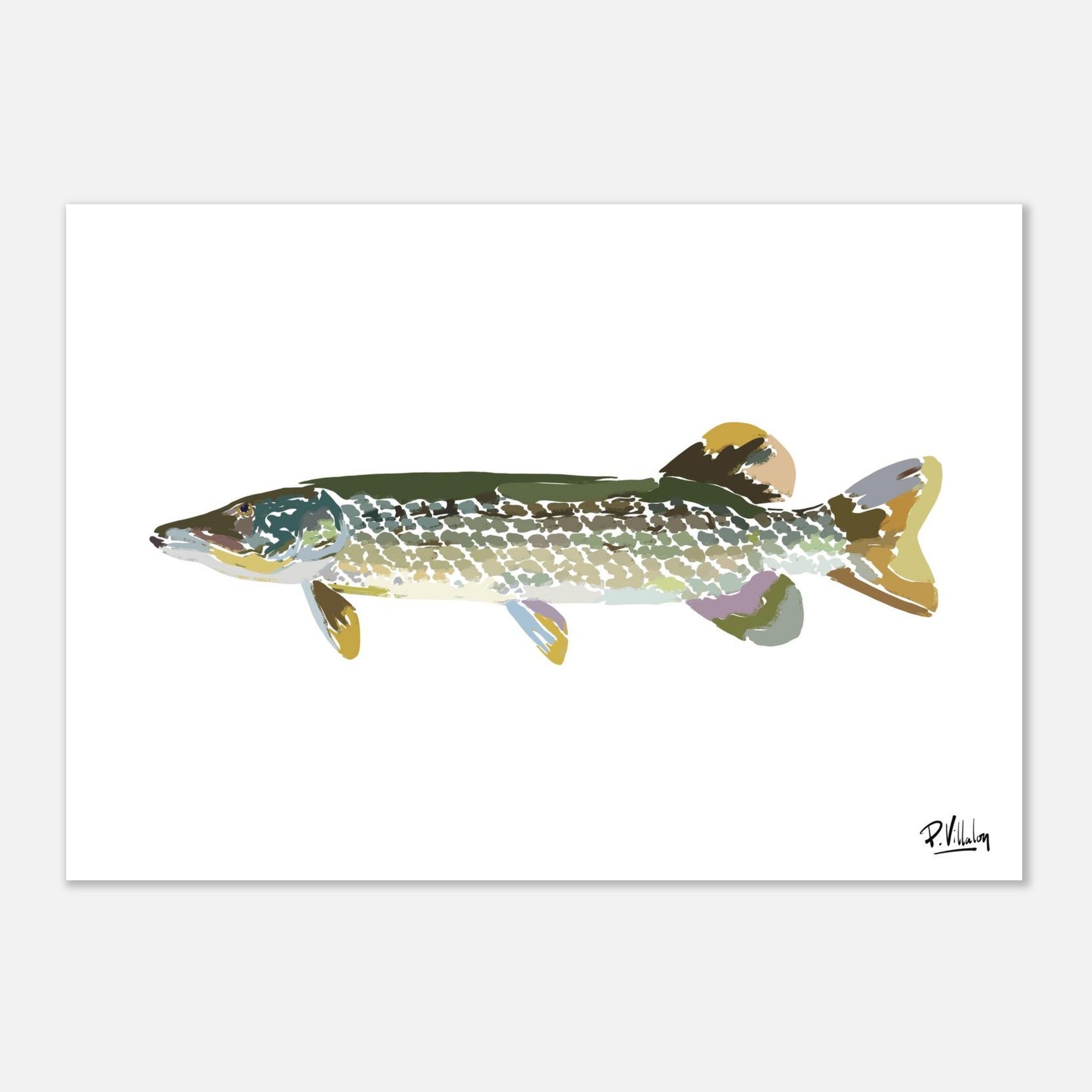 Affiche_Poster_Brochet_AFISH_STUDIO