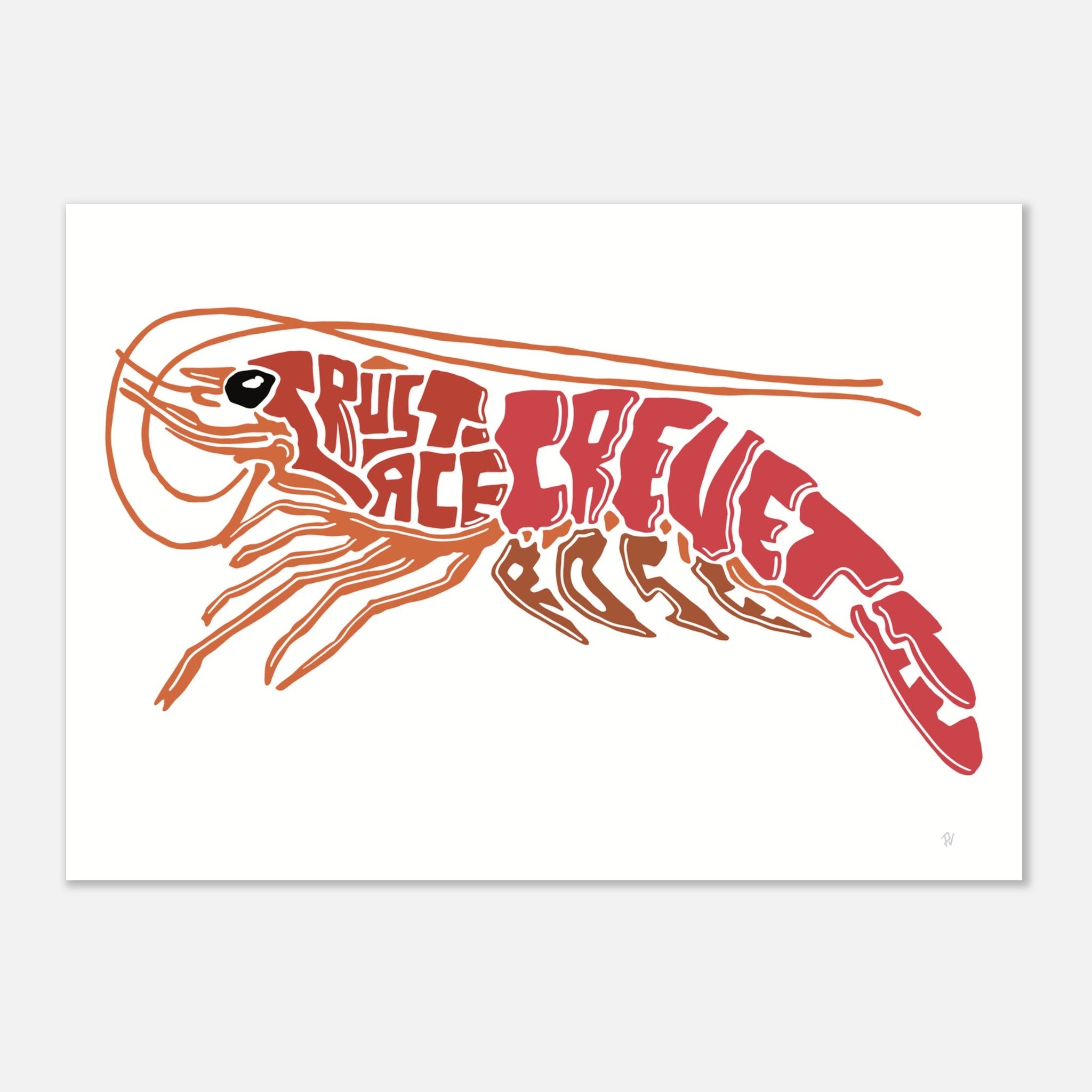 Affiche_Poster_Crevette_AFISH_STUDIO
