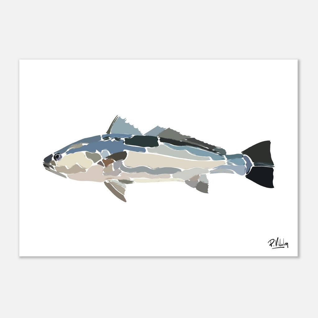 Affiche_Poster_Maigre_AFISH_STUDIO