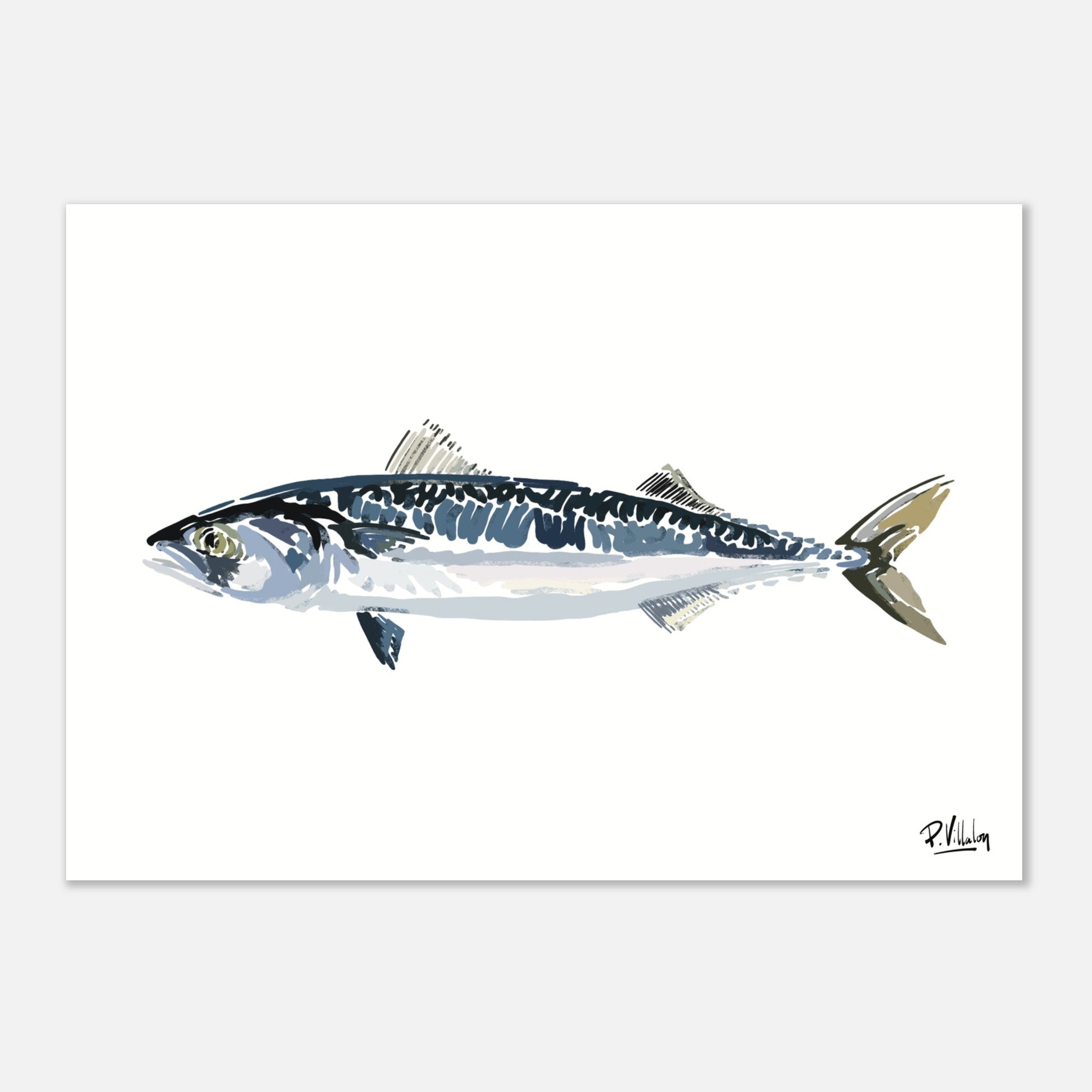 Affiche_Poster_Maquereau_AFISH_STUDIO