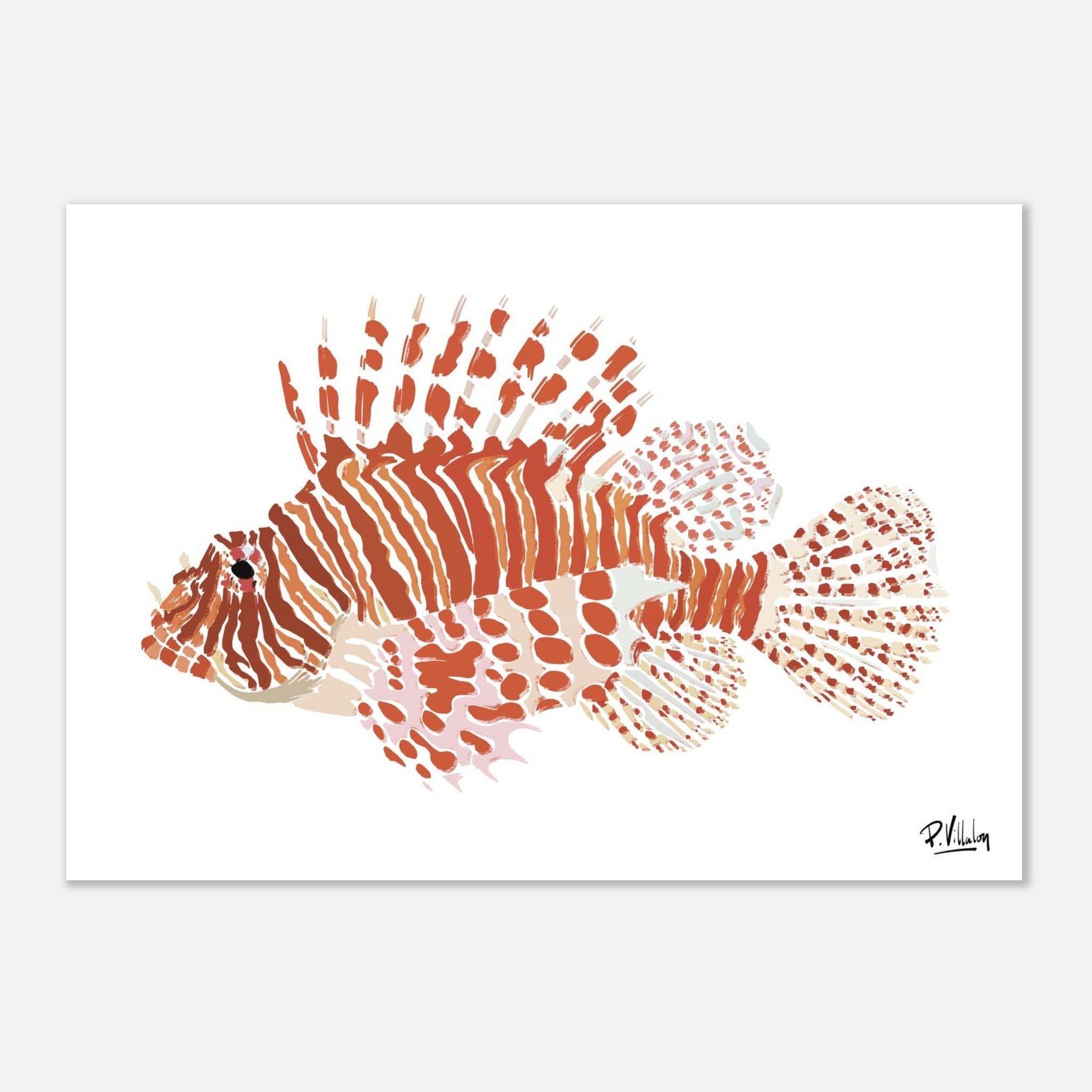 Affiche_Poster_Rascasse_AFISH_STUDIO