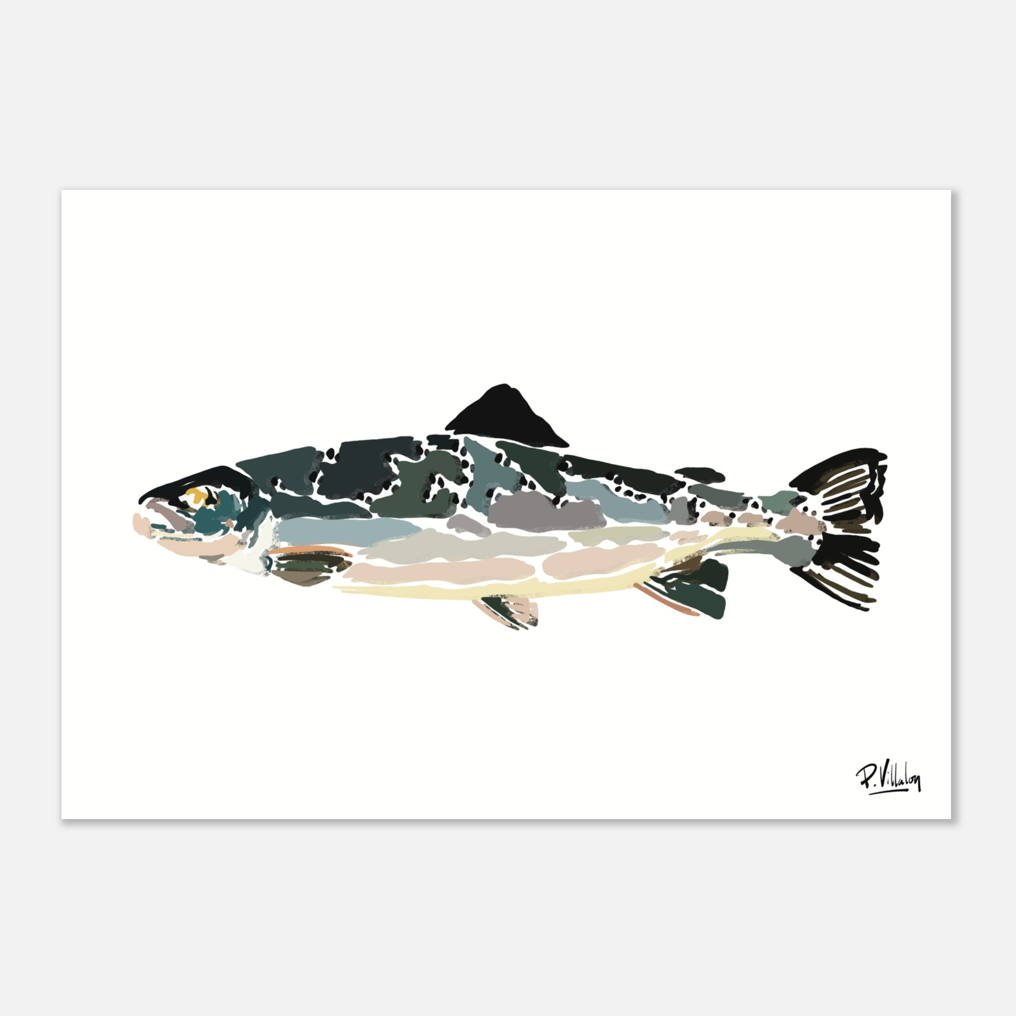 Affiche_Poster_Saumon_AFISH_STUDIO