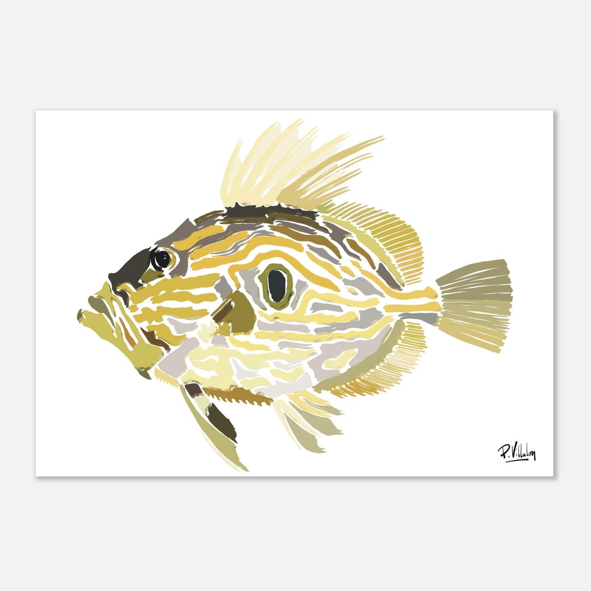 Affiche_Poster_St-Pierre_AFISH_STUDIO